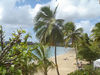 ThierryL > BVI's Best of photo