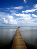 ThierryL > Tahiti pictures photo