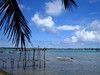 ThierryL > Tahiti pictures photo