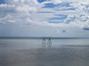 ThierryL > Tahiti pictures photo