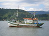 ThierryL > OLYMPUS DIGITAL CAMERA