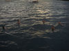 ThierryL > BVI's Best of photo