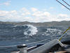 ThierryL > France Corsica photo