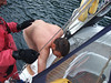 ThierryL > Norway in the Nude! photo