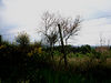 ThierryL > France Corsica photo