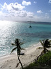 Saint Vincent 2006 best of : 